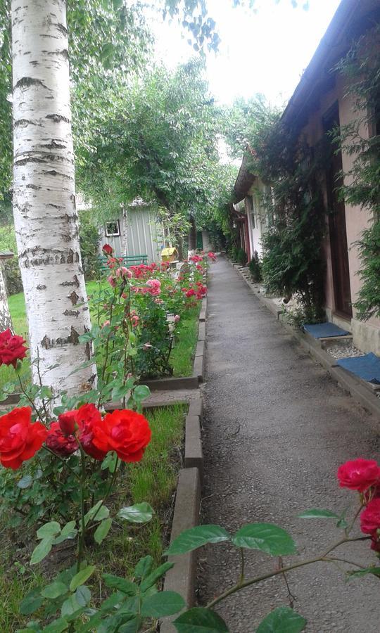 Camping Paradisul Soferilor Онешть Номер фото